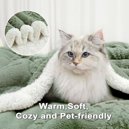 Women's Sherpa Throw Blanket for Couch and Bed - Cozy Flannel Fleece, Sage Green, 60x80 Inches  
Women's Cozy Sherpa Fle